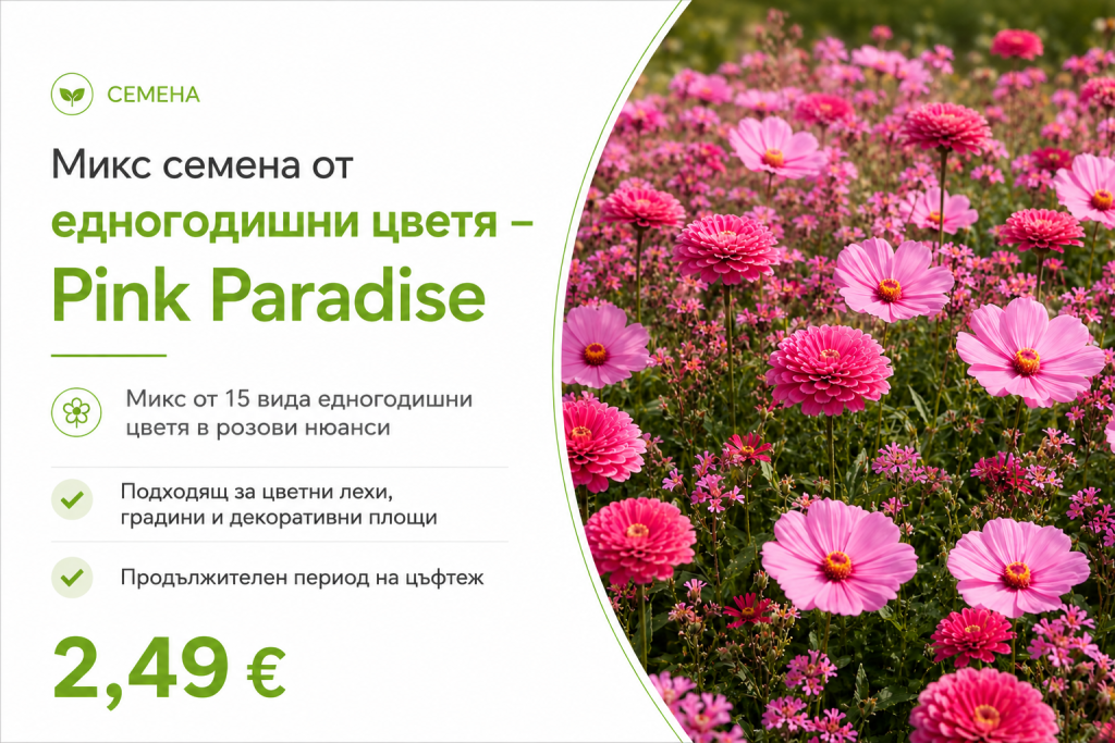 семена от едногодшни цветя в розови нюанси