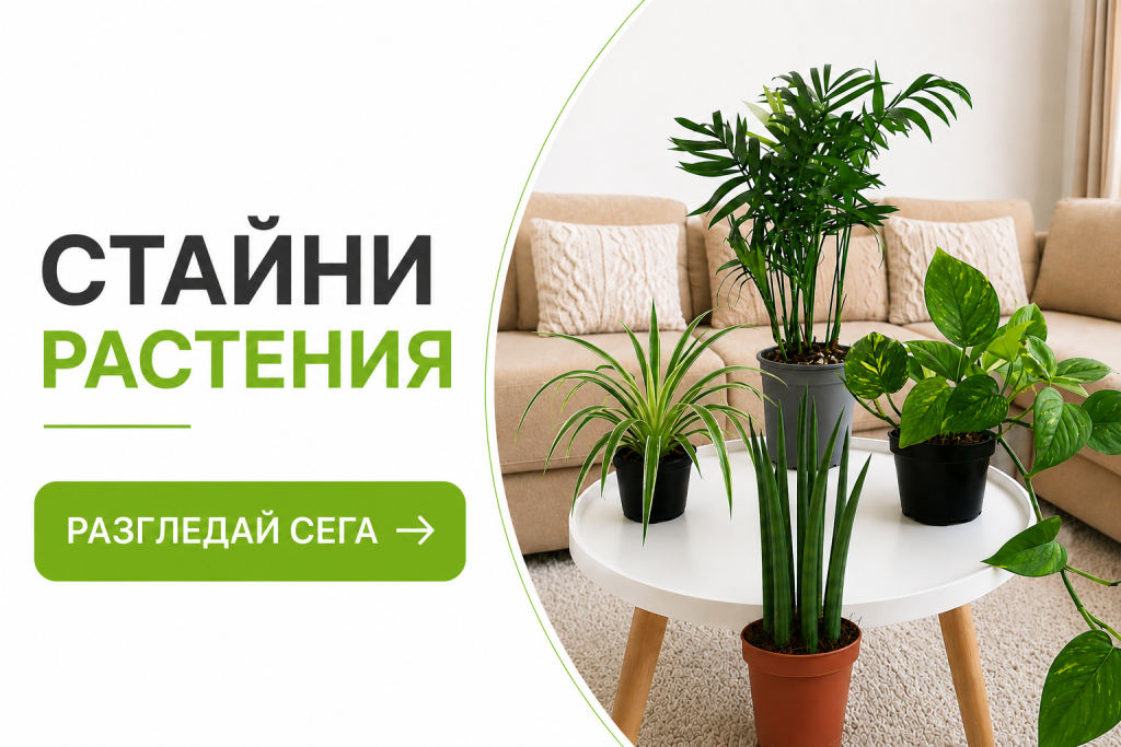 стайни растения
